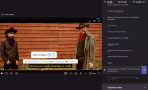 Screenshot rozhrania aplikácie Lingopie